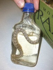 Snake Vodka